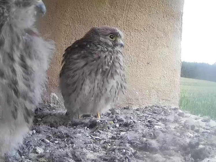 Frame_2021-08-06_07-26-09 07:26