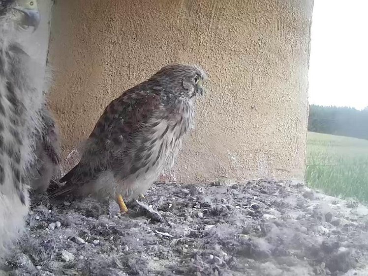 Frame_2021-08-06_07-26-34 07:26