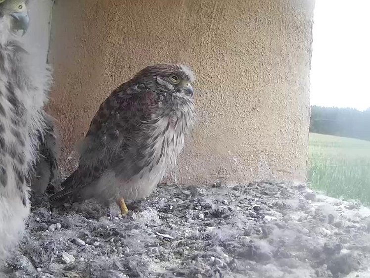 Frame_2021-08-06_07-28-20 07:28