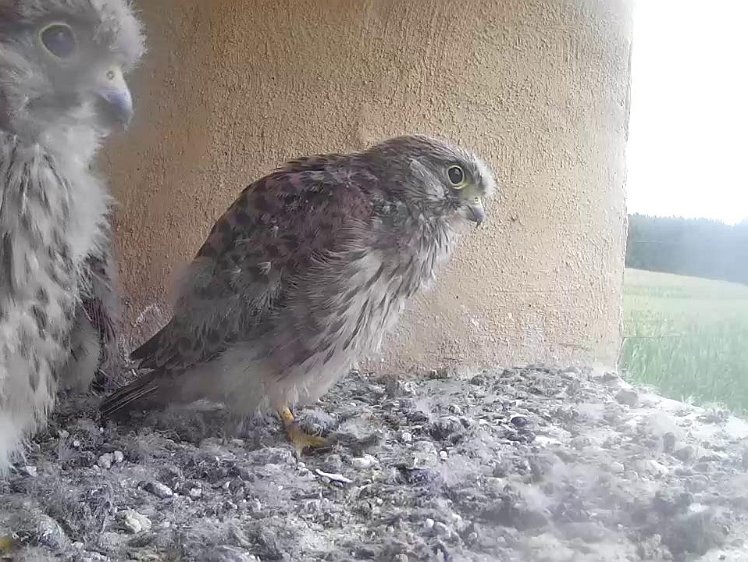 Frame_2021-08-06_07-28-56 07:28