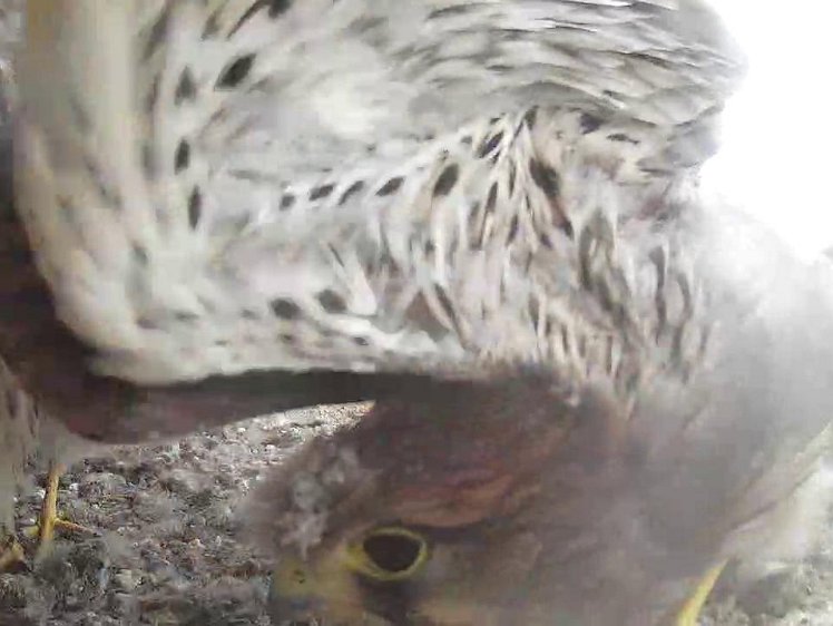 Frame_2021-08-06_07-34-05 07:34