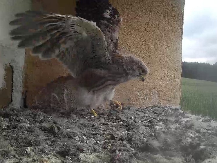 Frame_2021-08-06_07-43-17 07:43