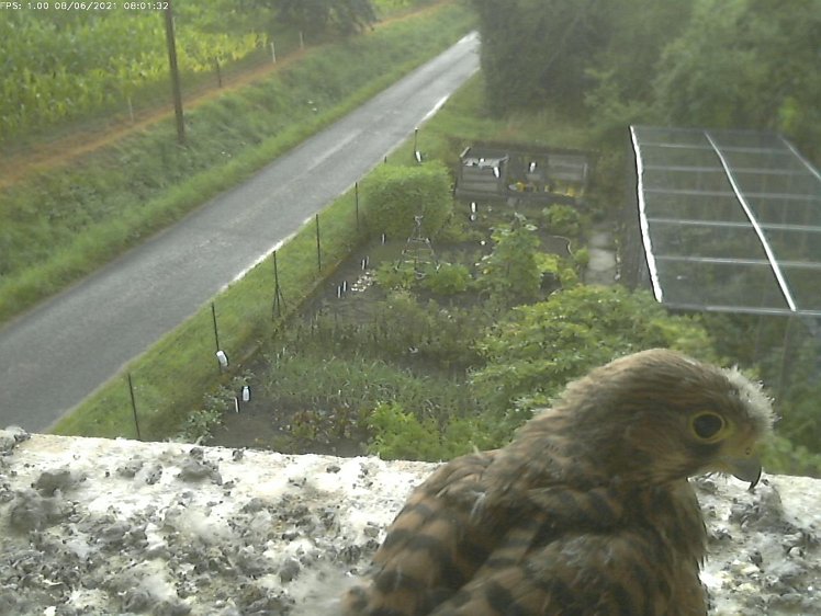 Frame_2021-08-06_08-01-32-C270 08:01