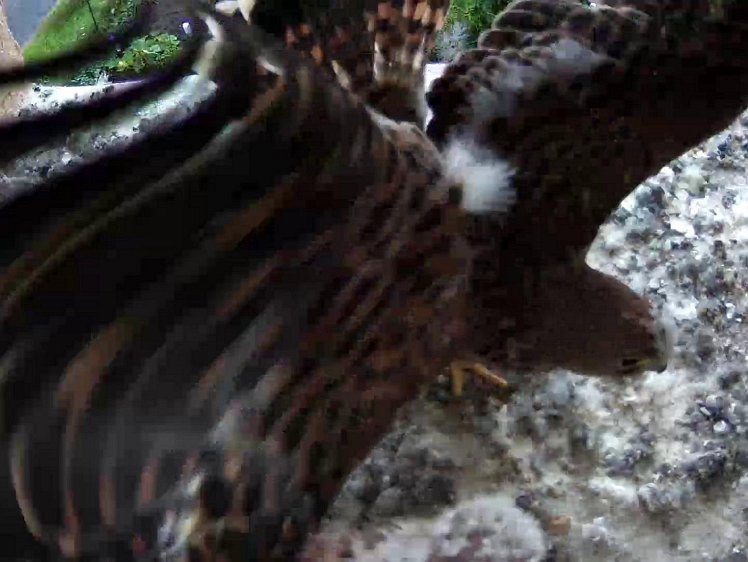 Frame_2021-08-06_08-01-32 08:01