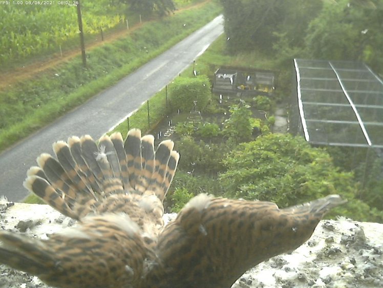 Frame_2021-08-06_08-01-36 08:01