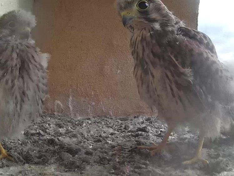 Frame_2021-08-06_08-01-42 08:01