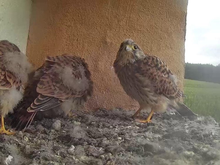 Frame_2021-08-07_06-48-47 06:48