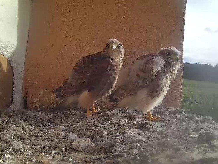 Frame_2021-08-07_07-36-04 07:36