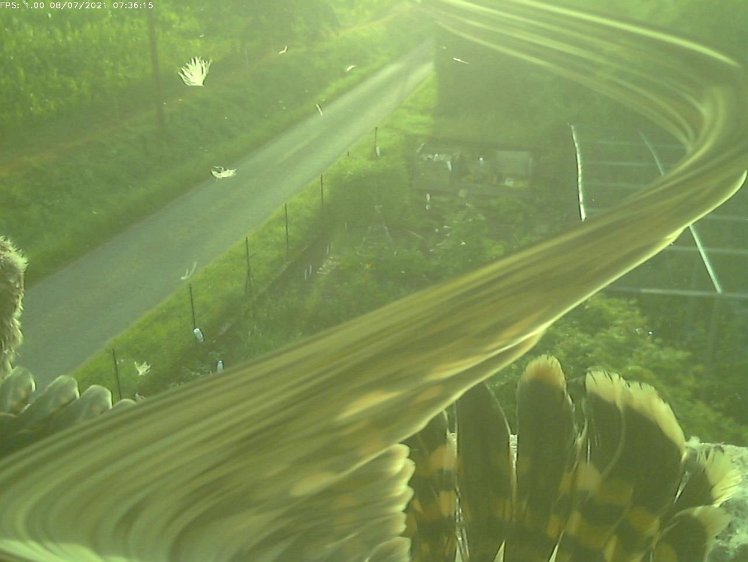 Frame_2021-08-07_07-36-16 07:36