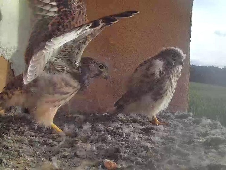 Frame_2021-08-07_07-36-24 07:36