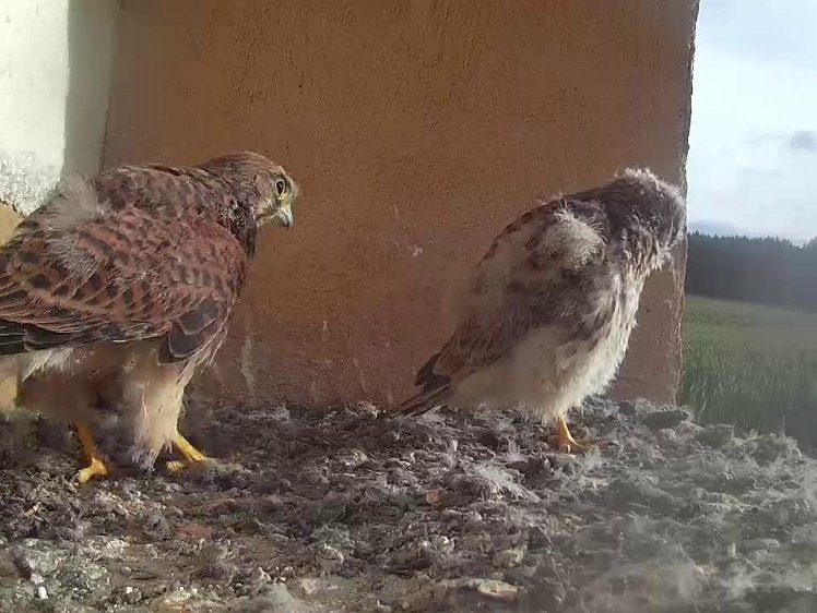 Frame_2021-08-07_07-37-20 07:37