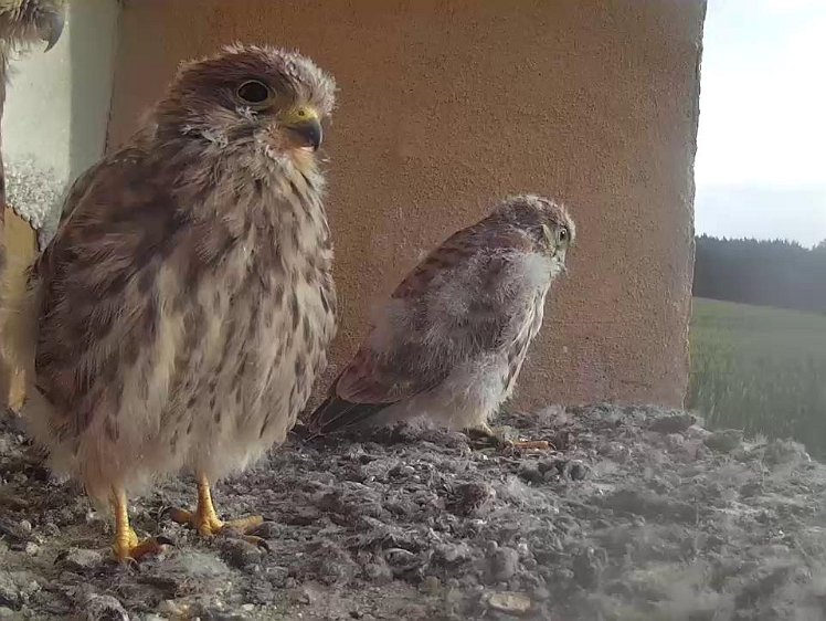 Frame_2021-08-07_07-47-02 07:47