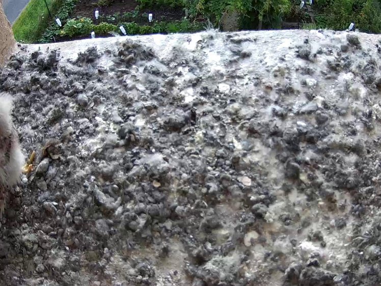 Frame_2021-08-07_07-49-58 07:49