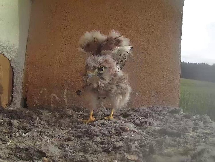 Frame_2021-08-07_07-52-50 07:52