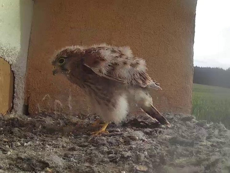 Frame_2021-08-07_07-53-11 07:53