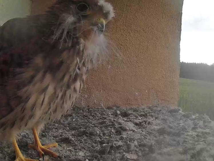 Frame_2021-08-07_08-00-36 08:00