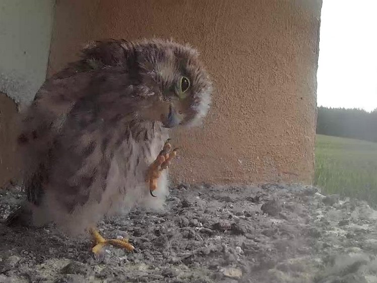 Frame_2021-08-07_09-12-20 09:12