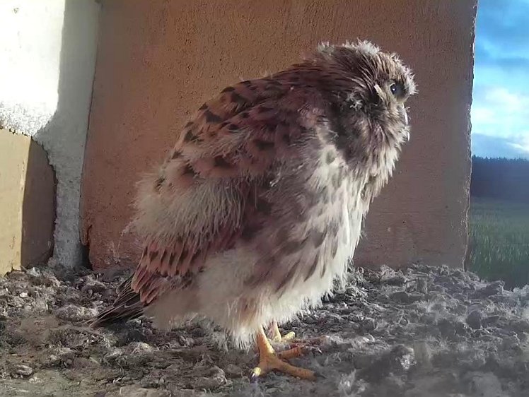 Frame_2021-08-08_07-14-12 07:14