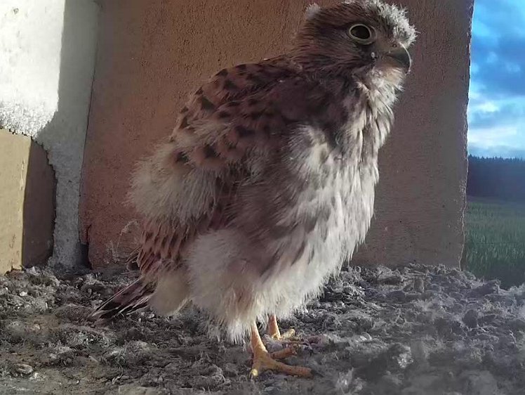 Frame_2021-08-08_07-15-44 07:15