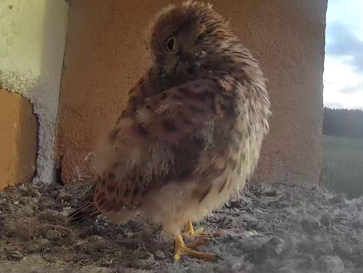 Frame_2021-08-08_07-16-24 07:16