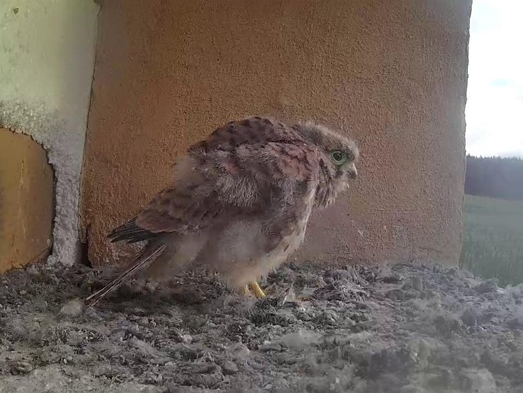 Frame_2021-08-08_07-17-45 07:17