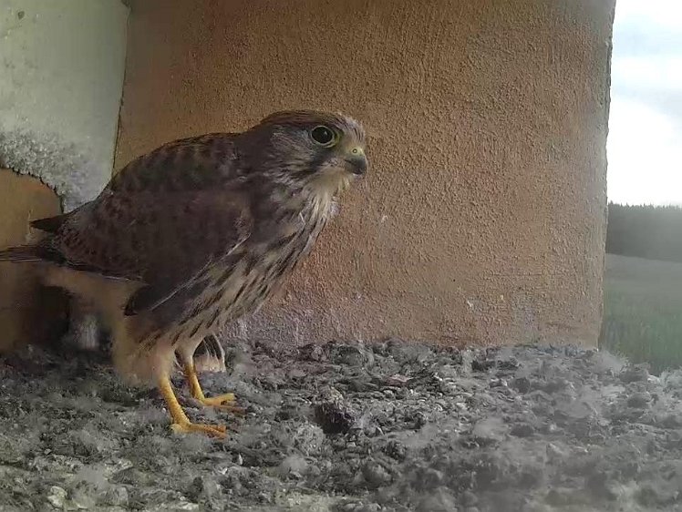 Frame_2021-08-08_07-22-23 07:22