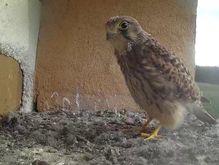 Frame_2021-08-08_07-45-17 07:45