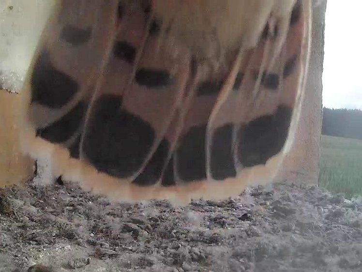 Frame_2021-08-08_07-50-10 07:50