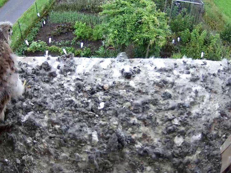 Frame_2021-08-08_08-48-34 08:48