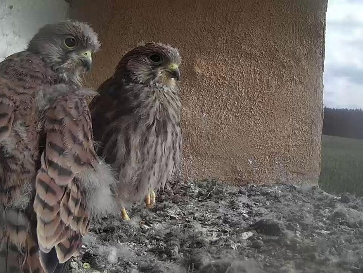 Frame_2021-08-08_09-23-12 09:23