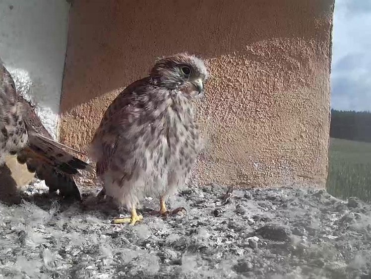 Frame_2021-08-08_09-38-57 09:38