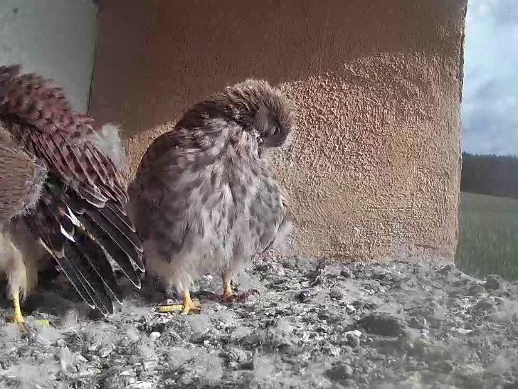 Frame_2021-08-08_09-39-07 09:39