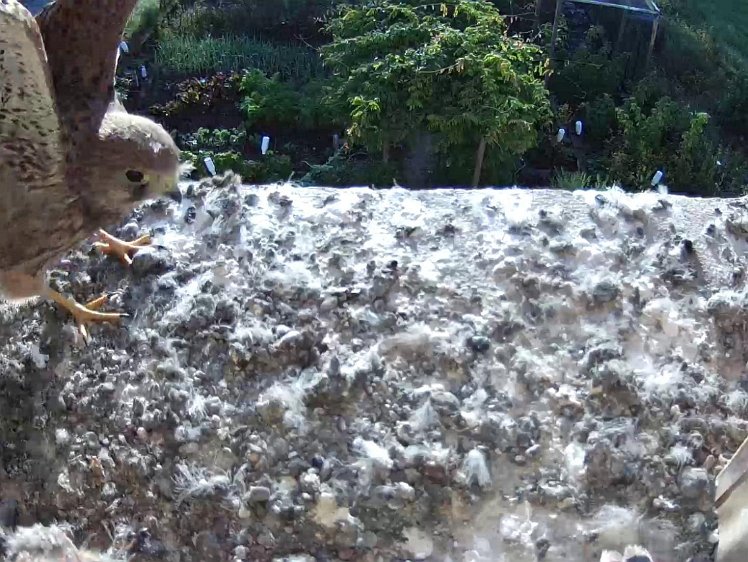 Frame_2021-08-09_07-34-31 07:34