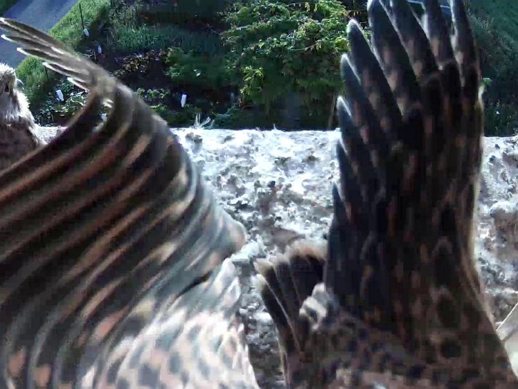 Frame_2021-08-09_07-35-08 07:35