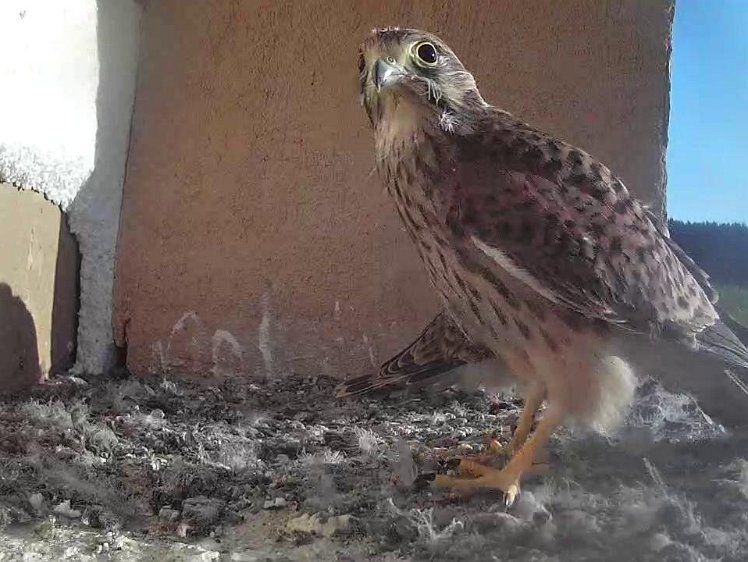 Frame_2021-08-09_07-38-44 07:38