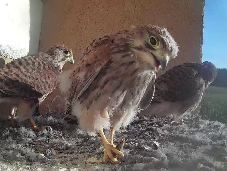 Frame_2021-08-09_07-39-50 07:39