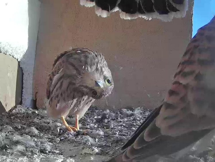 Frame_2021-08-09_07-42-01 07:42