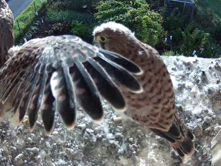 Frame_2021-08-09_07-42-29 07:42