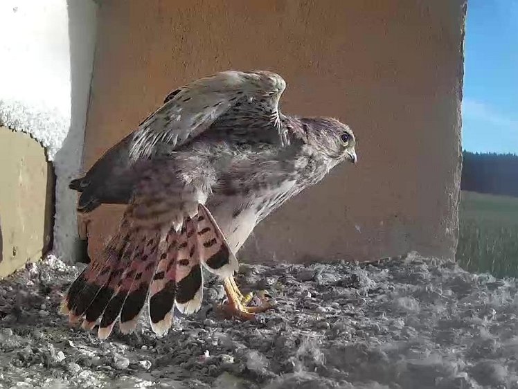 Frame_2021-08-09_07-55-56 07:55