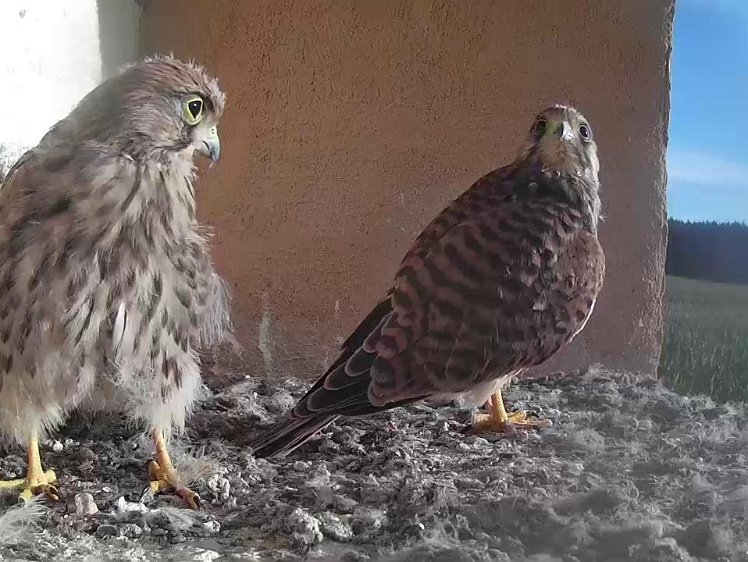 Frame_2021-08-09_07-59-58 07:59