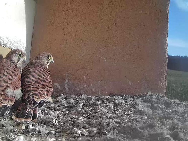 Frame_2021-08-09_08-00-44 08:00