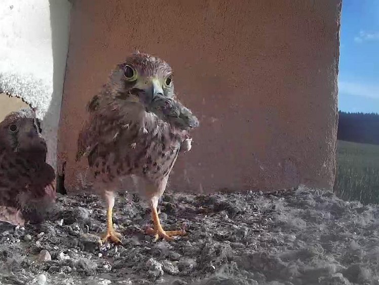 Frame_2021-08-09_08-02-30 08:02