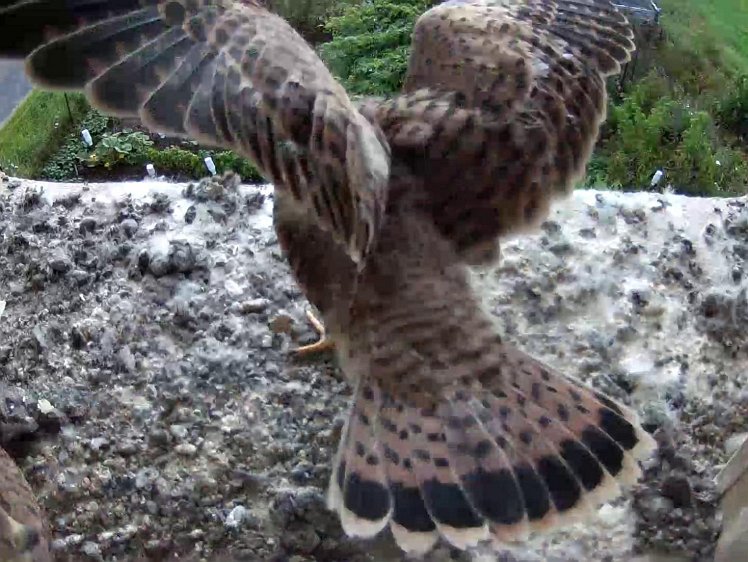 Frame_2021-08-09_08-29-04 08:29