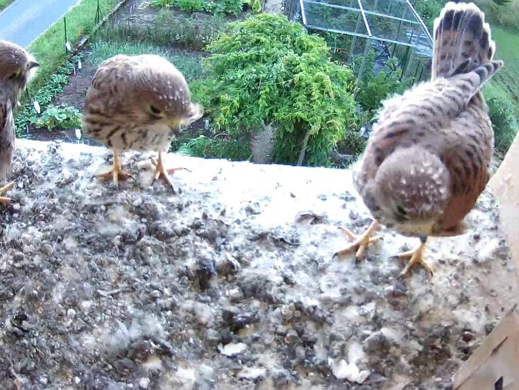 Frame_2021-08-10_06-53-07 06:53