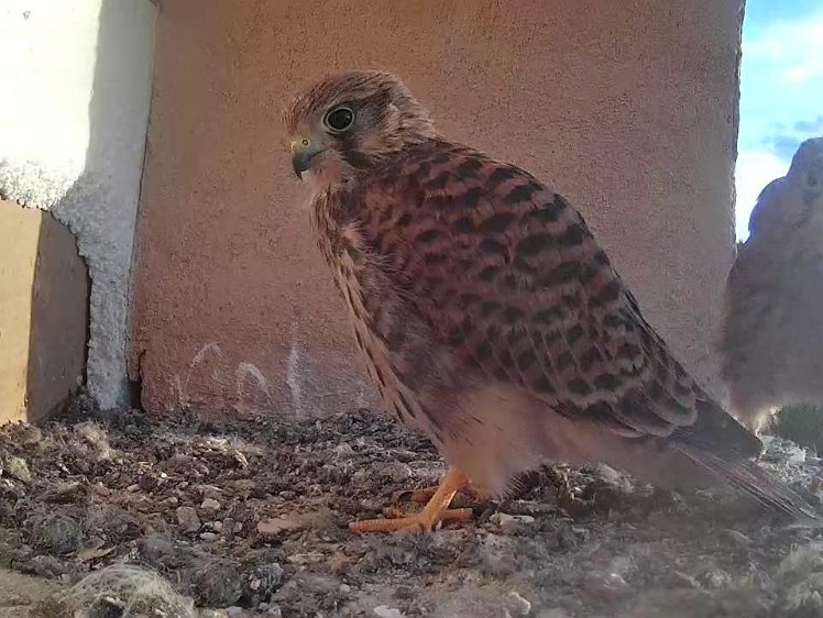 Frame_2021-08-10_07-03-20 07:03