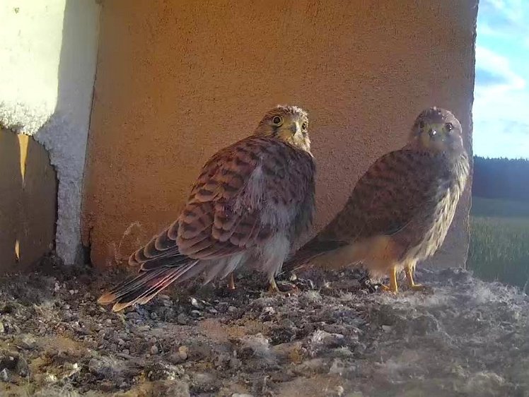 Frame_2021-08-10_07-05-57 07:05