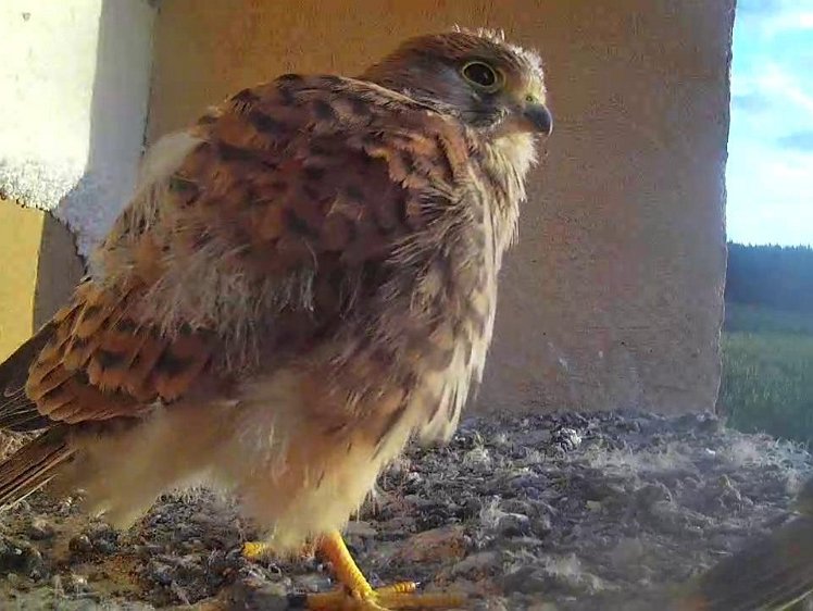 Frame_2021-08-10_07-06-53 07:06