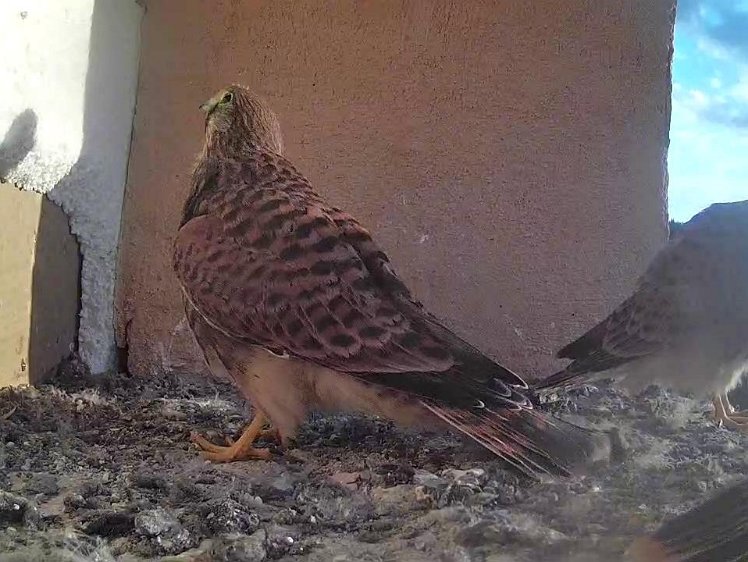 Frame_2021-08-10_07-08-34 07:08