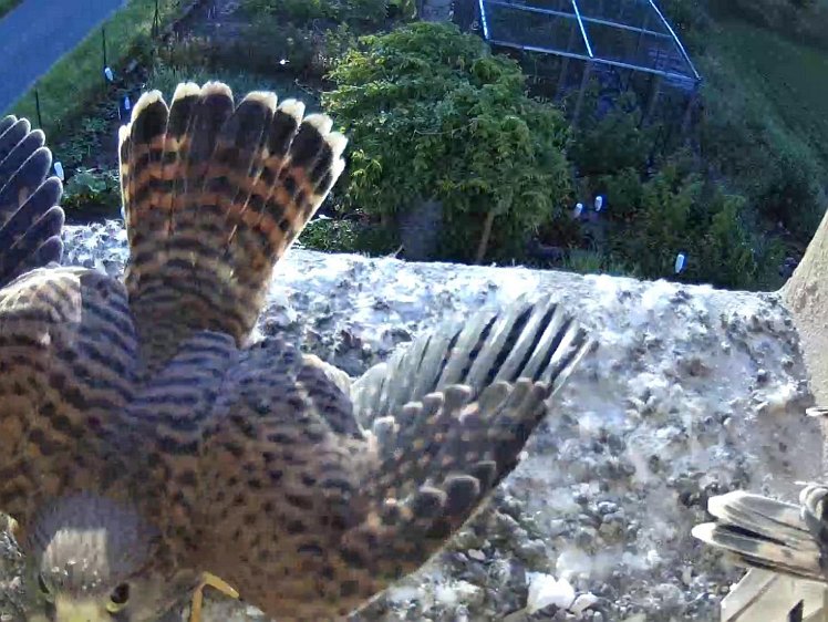 Frame_2021-08-10_07-10-02 07:10