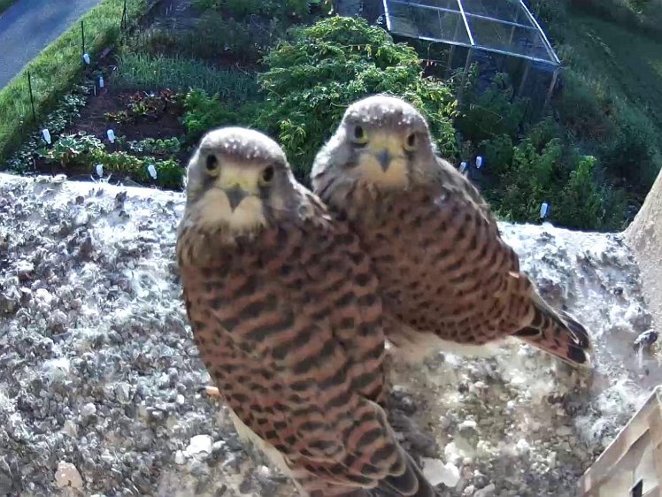 Frame_2021-08-10_07-34-05 07:34